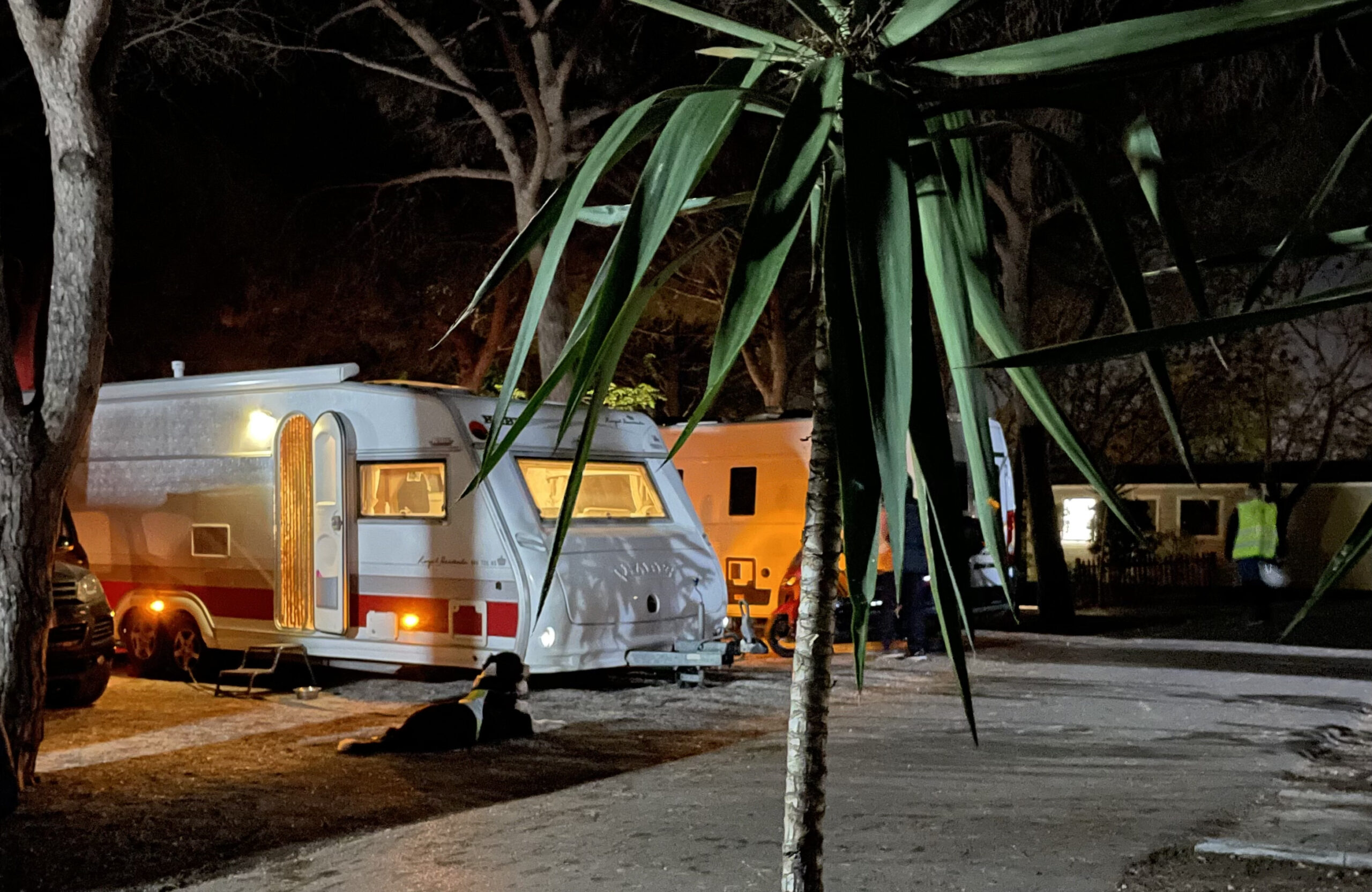 Camping Cabopino, etualalla palmu, taka-alalla asuntovaunu iltavalaistuksessa.