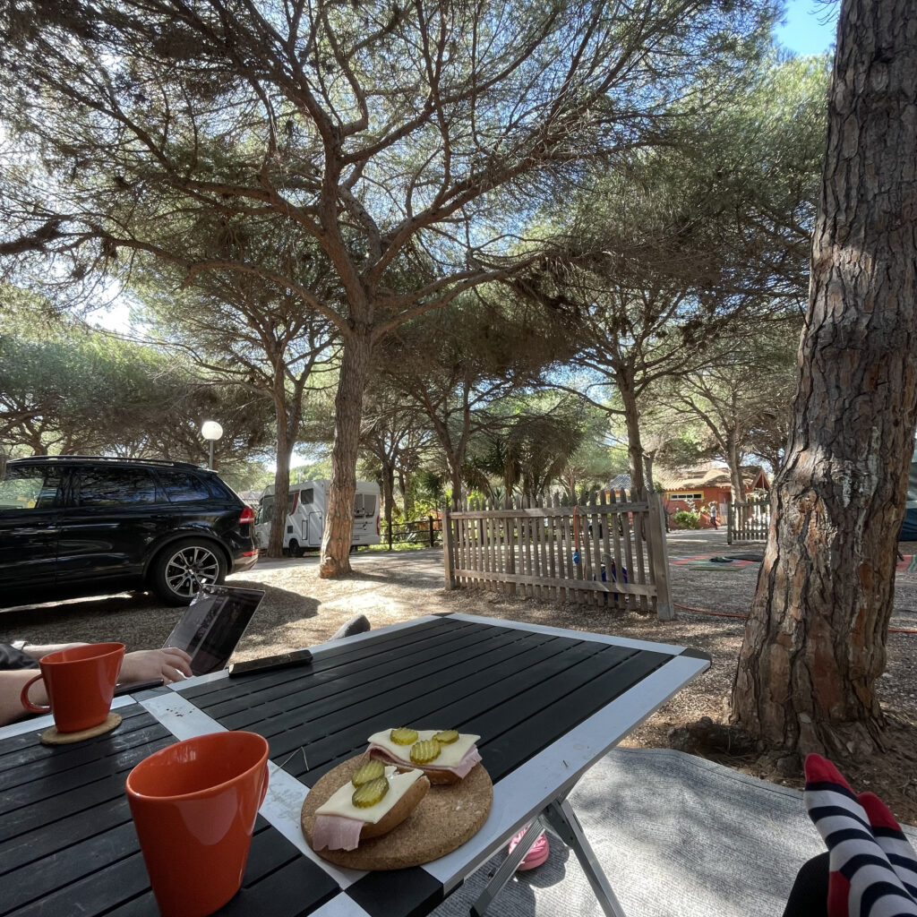 Camping Cabopino, näkymä leirintäalueella pinjapuihin aamiaspöydän takaa.